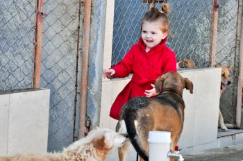 Visitas no Abrigo São Francisco de Assis (03 agosto 2019) (76)
