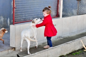 Visitas no Abrigo São Francisco de Assis (03 agosto 2019) (77)