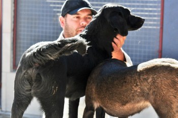 Visitas no Abrigo São Francisco de Assis (03 agosto 2019) (78)