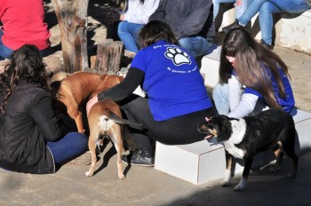 Visitas no Abrigo São Francisco de Assis (03 agosto 2019) (80)