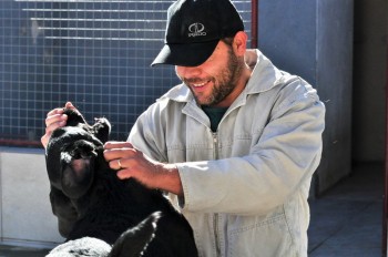 Visitas no Abrigo São Francisco de Assis (03 agosto 2019) (82)