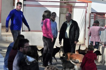 Visitas no Abrigo São Francisco de Assis (03 agosto 2019) (83)