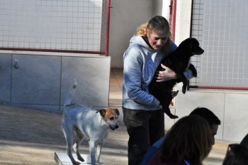Visitas no Abrigo São Francisco de Assis (03 agosto 2019) (84)