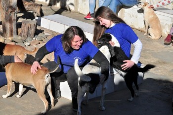 Visitas no Abrigo São Francisco de Assis (03 agosto 2019) (85)