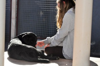 Visitas no Abrigo São Francisco de Assis (03 agosto 2019) (86)
