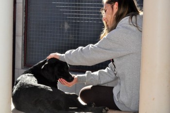Visitas no Abrigo São Francisco de Assis (03 agosto 2019) (87)