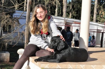 Visitas no Abrigo São Francisco de Assis (03 agosto 2019) (88)