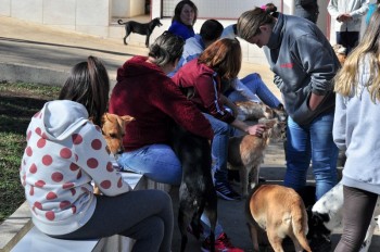 Visitas no Abrigo São Francisco de Assis (03 agosto 2019) (9)