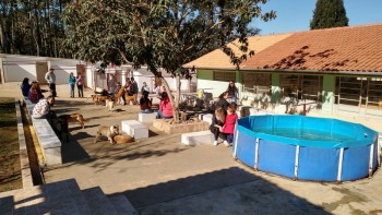 Visitas no Abrigo São Francisco de Assis (03 agosto 2019) (91)