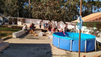 Visitas no Abrigo São Francisco de Assis (03 agosto 2019) (92)