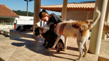 Visitas no Abrigo São Francisco de Assis (03 agosto 2019) (98)