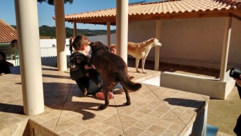 Visitas no Abrigo São Francisco de Assis (03 agosto 2019) (99)