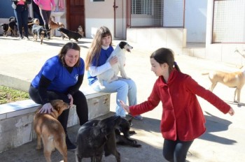 ????????????????????????????????????