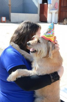 ????????????????????????????????????