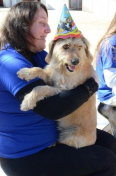 ????????????????????????????????????