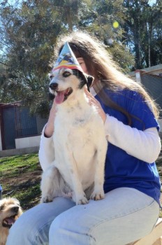 ????????????????????????????????????