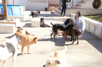 ????????????????????????????????????