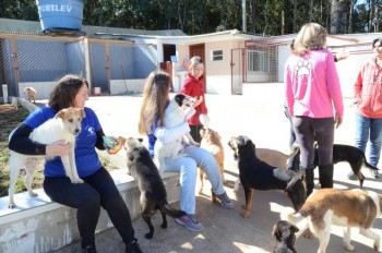 ????????????????????????????????????