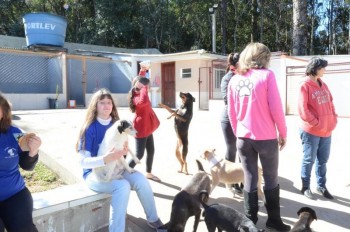 ????????????????????????????????????