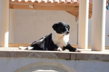 ????????????????????????????????????