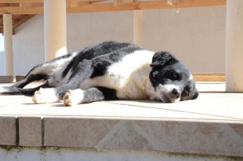 ????????????????????????????????????