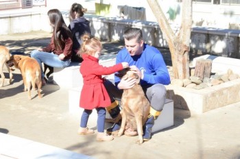 ????????????????????????????????????