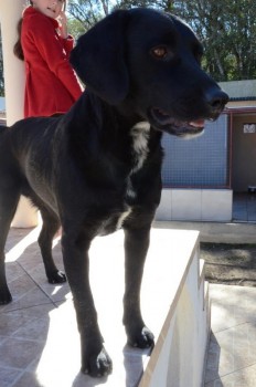 ????????????????????????????????????