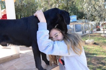 ????????????????????????????????????