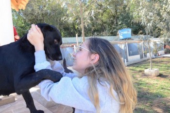 ????????????????????????????????????