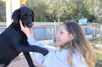 ????????????????????????????????????