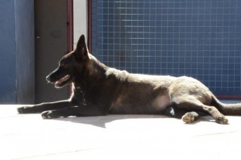 ????????????????????????????????????