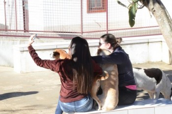 ????????????????????????????????????