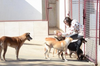 ????????????????????????????????????