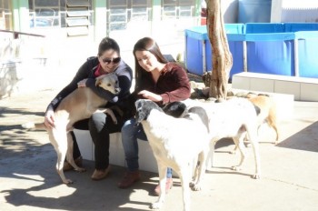 ????????????????????????????????????