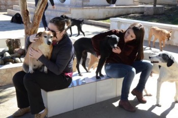 ????????????????????????????????????