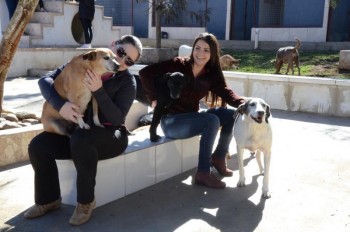 ????????????????????????????????????