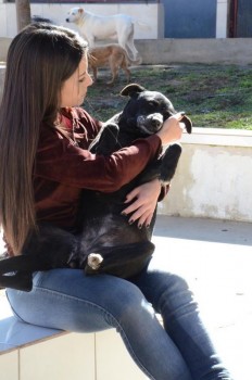 ????????????????????????????????????