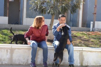 ????????????????????????????????????