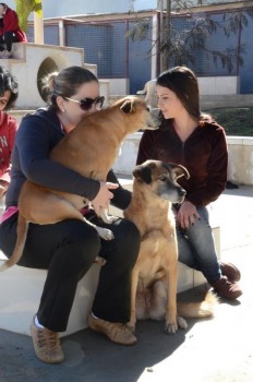 ????????????????????????????????????