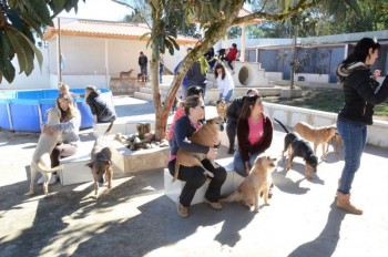 ????????????????????????????????????