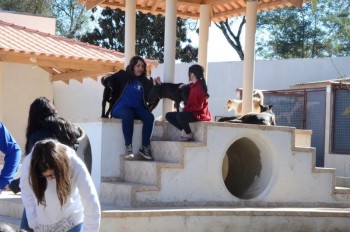 ????????????????????????????????????