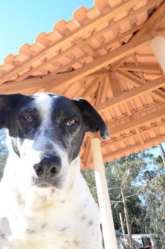 ????????????????????????????????????