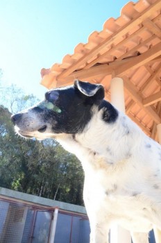 ????????????????????????????????????