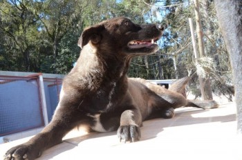 ????????????????????????????????????