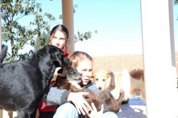 ????????????????????????????????????