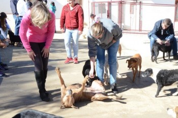 ????????????????????????????????????