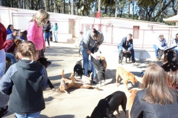 ????????????????????????????????????