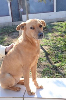 ????????????????????????????????????