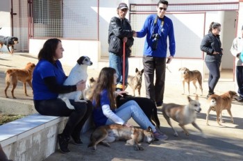 ????????????????????????????????????