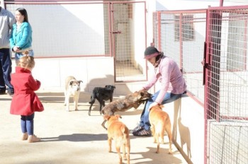 ????????????????????????????????????